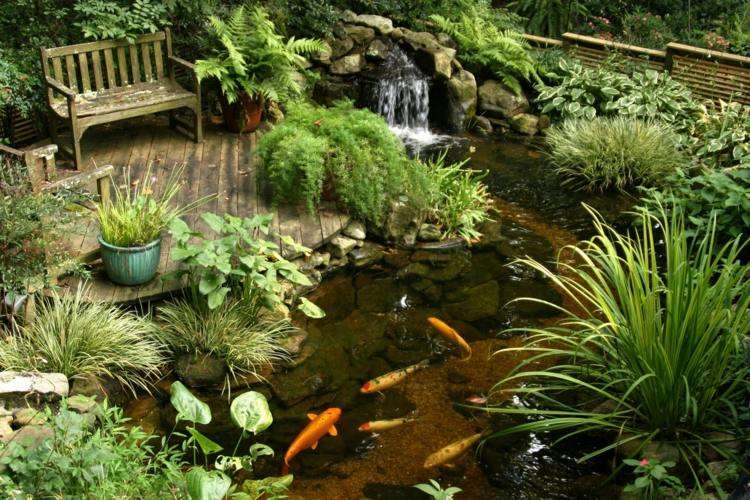 banco madera jardin estanque peces plantas ideas