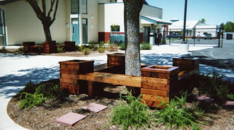 bancos diseño moderno madera árboles