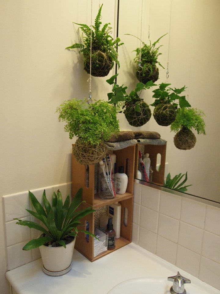 baños decorado estilo verdes salas imagenes