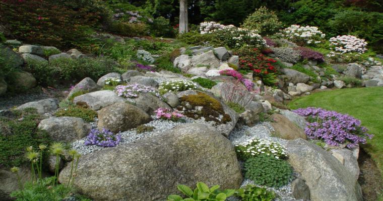 Rocalla en el jardín - cincuenta ideas decorativas geniales
