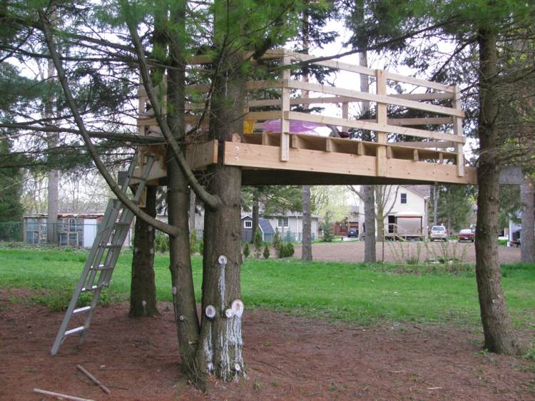 casita árbol terraza madera 