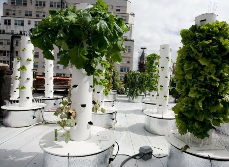 colunas modernos Vertical Gardens design