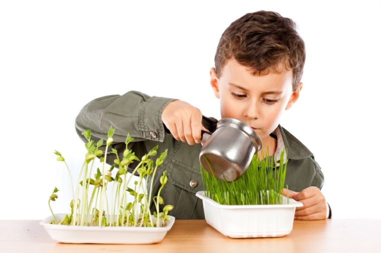 cultiver plantes enfants eau