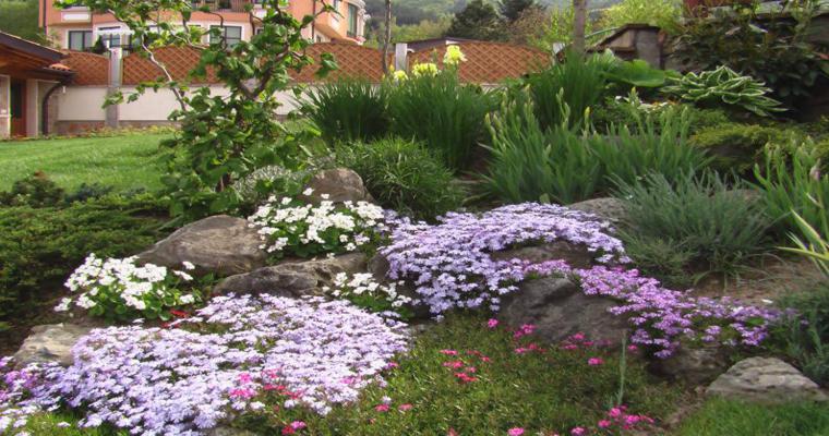 Rocalla en el jardín - cincuenta ideas decorativas geniales