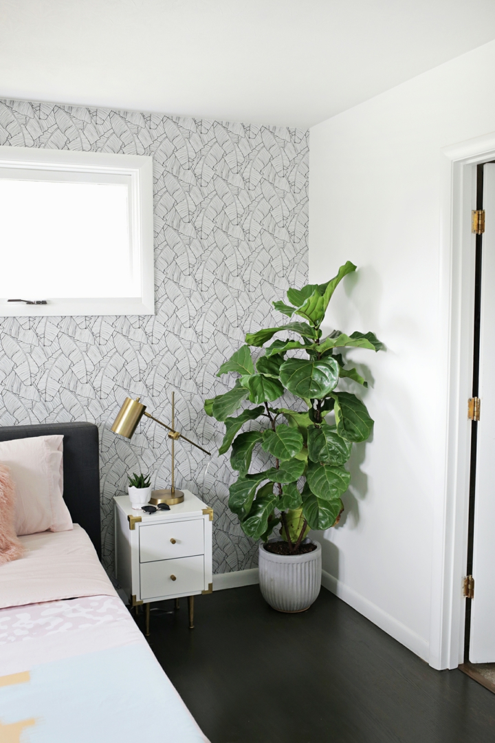 decoracion fresca decoracion detalles comedores rincones plantas