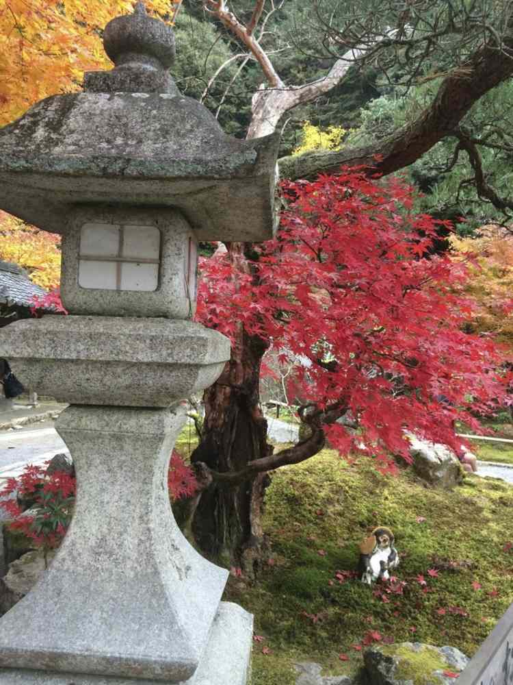 decoracion jardin diseno asiatico estatua arbol ideas