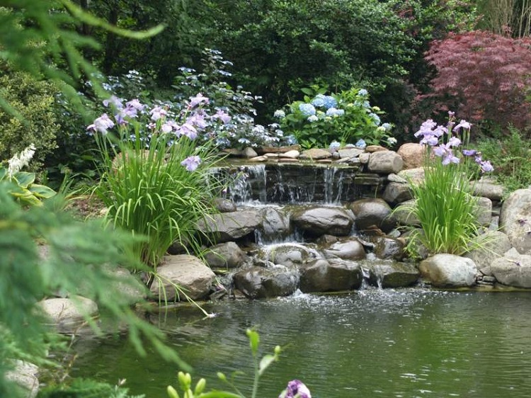 estanques jardin grande plantas flores espacios amplios ideas