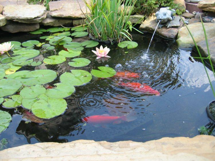 estanques jardin peces plantas acuaticas ideas