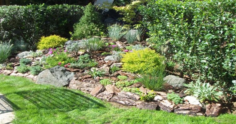 Rocalla en el jardín - cincuenta ideas decorativas geniales