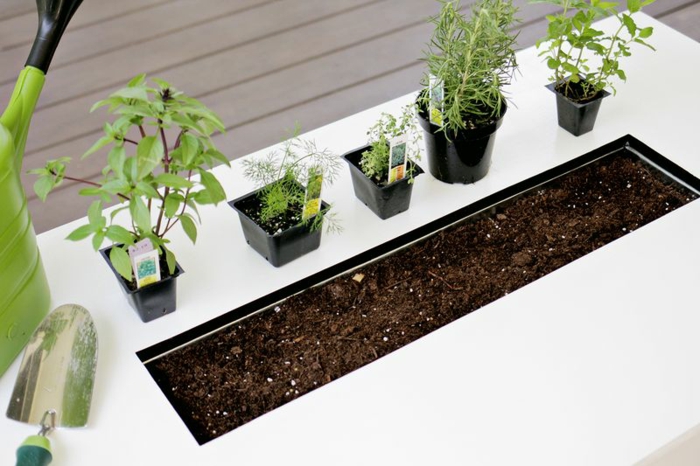 ideas de diseño hierbas aromaticas blanco mantillo suelos
