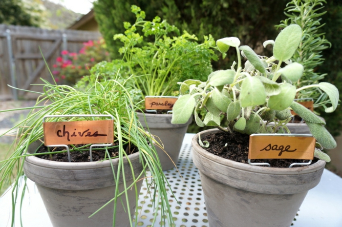 ideas de diseño hierbas aromaticas detalles nombres sencillos