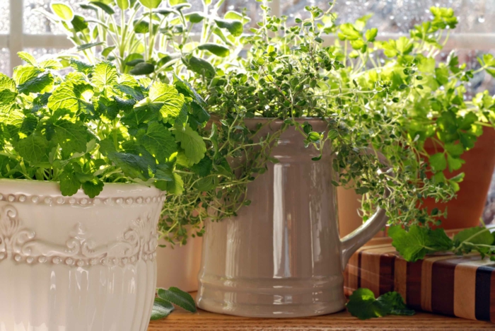 ideas decorativas plantas interiores salones verdes salas