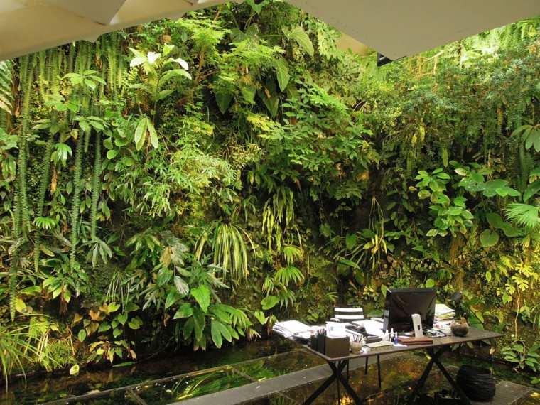 interior diseño jungla plantas