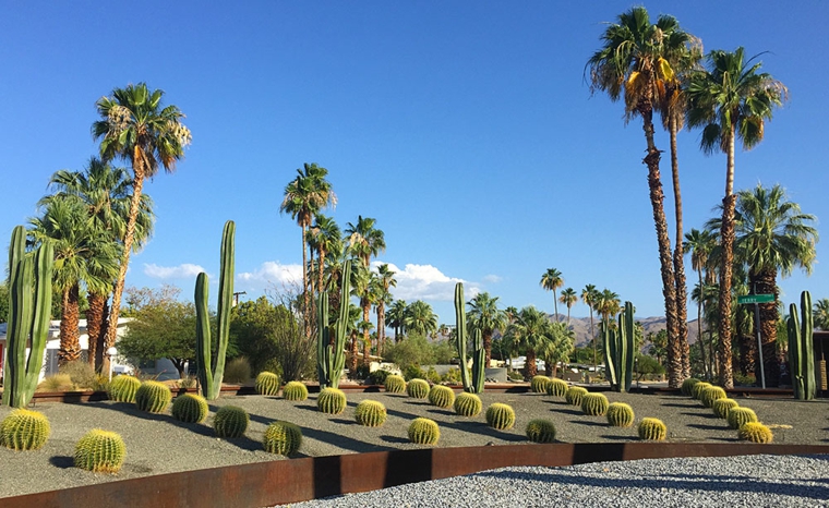 jardín con cactus y valla de corten jardin cactus valla corten
