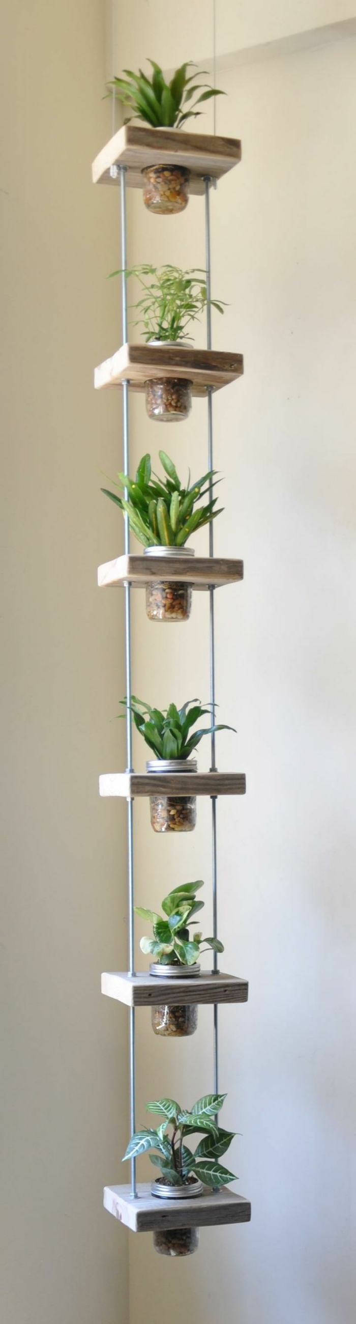 opciones hierbas jardin vertical colgando techo ideas