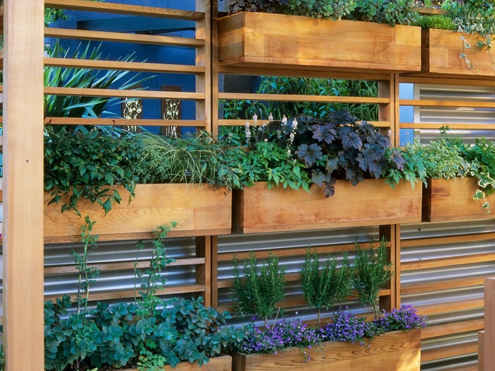 opciones hierbas jardin vertical madera caja ideas