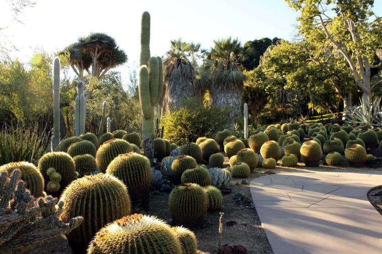 original diseño jardines cactus bolas