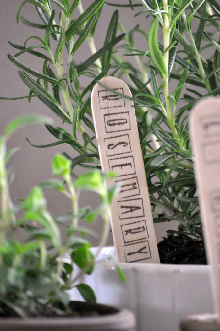 marcadores de madera paletas madera sentidos conceptos letras