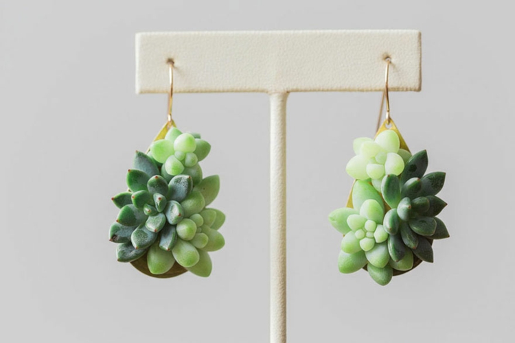 pendientes plantas suculentas naturales