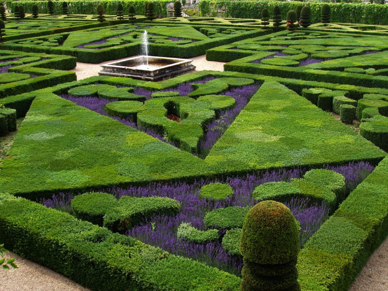 plano jardin clasico lavanda plantas ideas