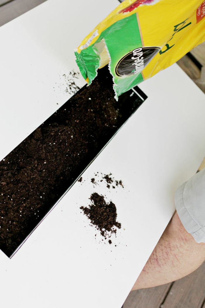 sustrato para siembra plantas medicinas estantes muebles colores