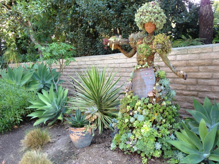 plantas suculentas decorado fondos flores