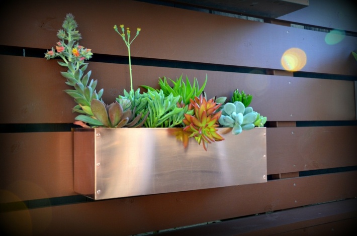 plantas suculentas decorado tensiones salones ideas