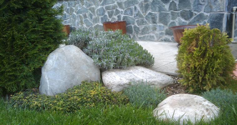 Rocalla en el jardín - cincuenta ideas decorativas geniales