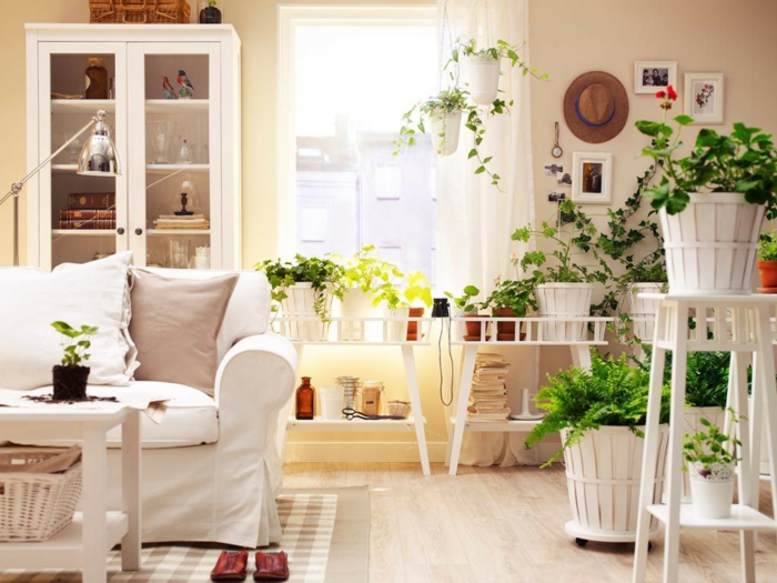 salon muebles blancos plantas verdes ideas