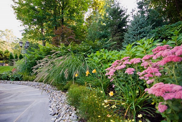 arbustos de jardin flores camino rosas ideas