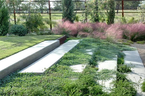 arbustos jardin losas escalera flores ideas