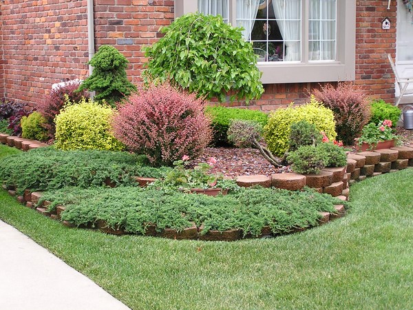arbustos jardin terrazas acero corten plantas ideas