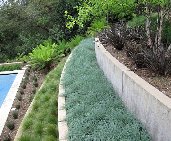arbustos jardin terrazas opciones ideas