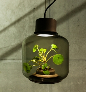 Lámparas con ecosistemas autosustentables - de We Love Eames