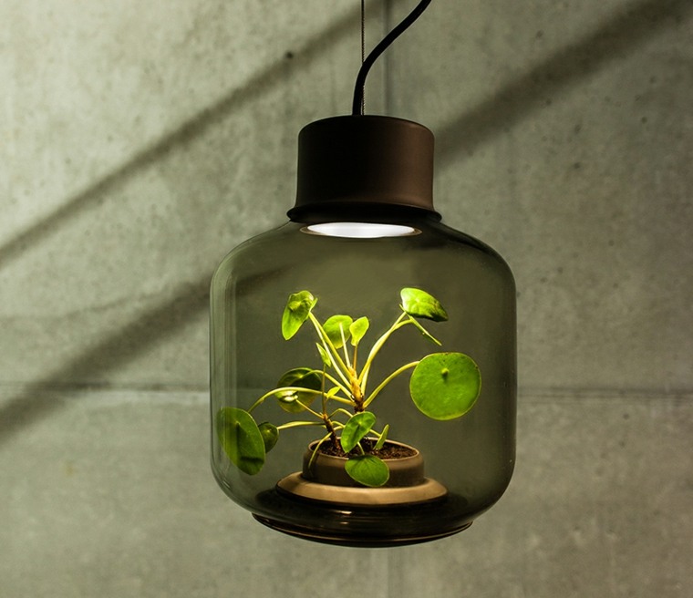 bonita lámparas planta interior