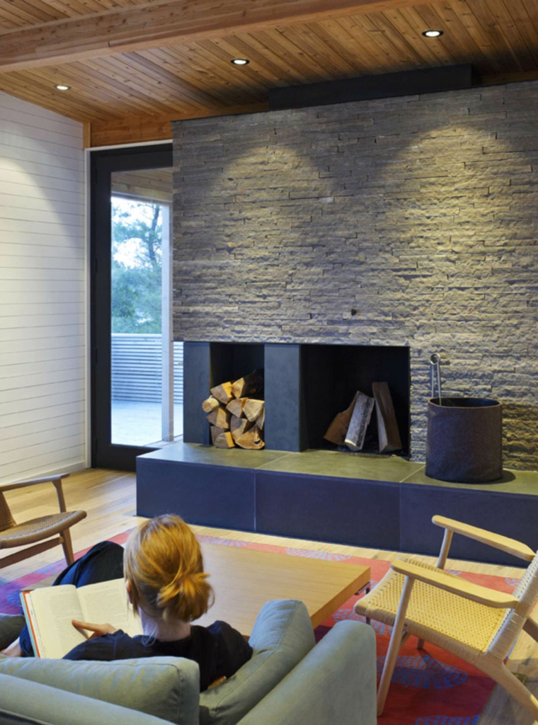 chimeneas lena salon opciones lugar madera ideas