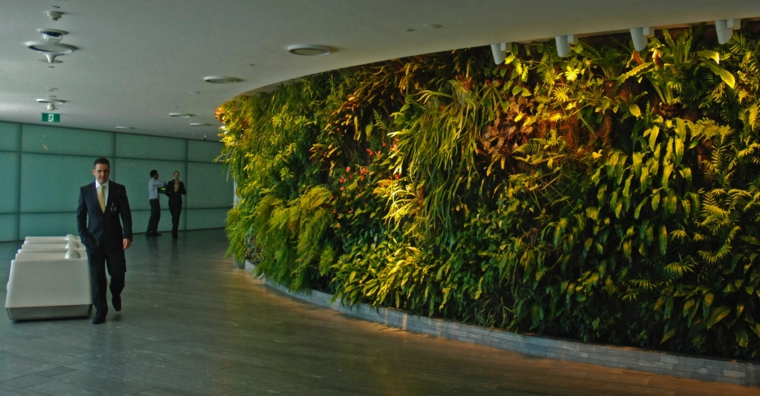 ambiente citadinos con plantas espacios publicos corporativos sillones oficinas