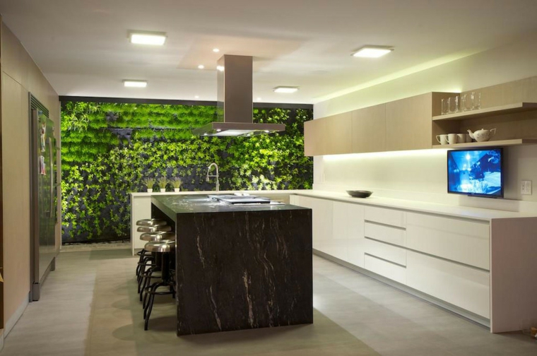 pared de cocina con plantas fondo cocinas modernas estantes plantas television