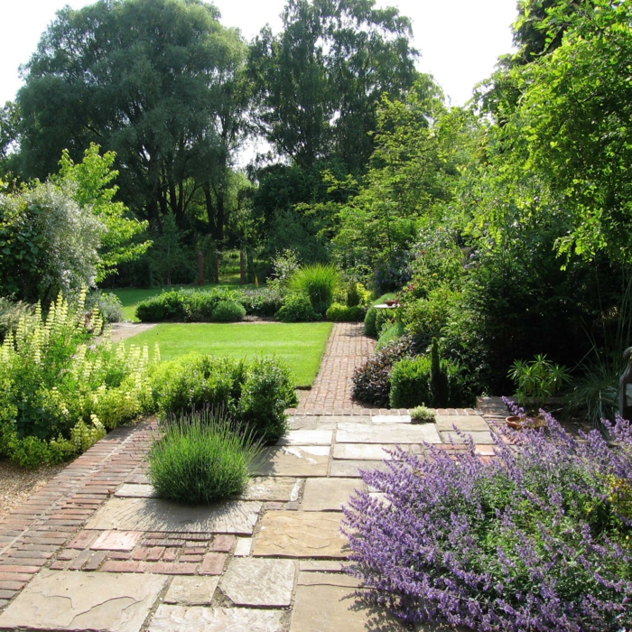 lavanda y otros arbustos en el jardín imagenes paisajes jardin cesped opciones ideas