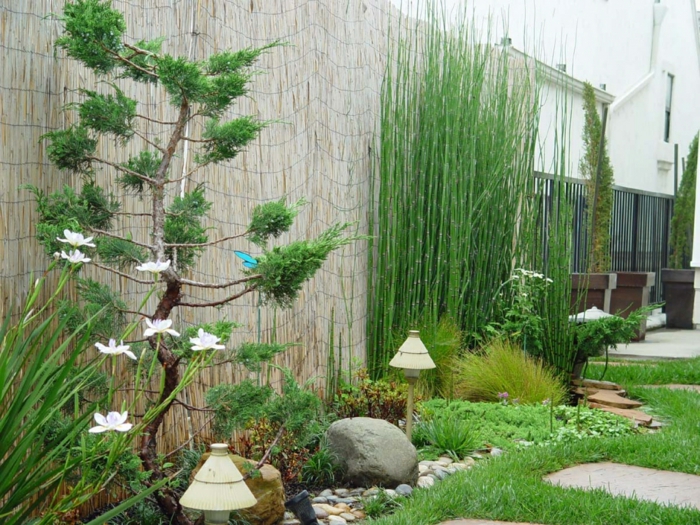 bambú y bonsái en el jardín imagenes paisaje jardin zen bambu ideas