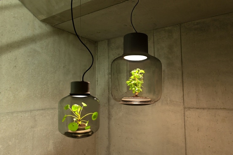 lámpara ecosistema sostenible planta natural
