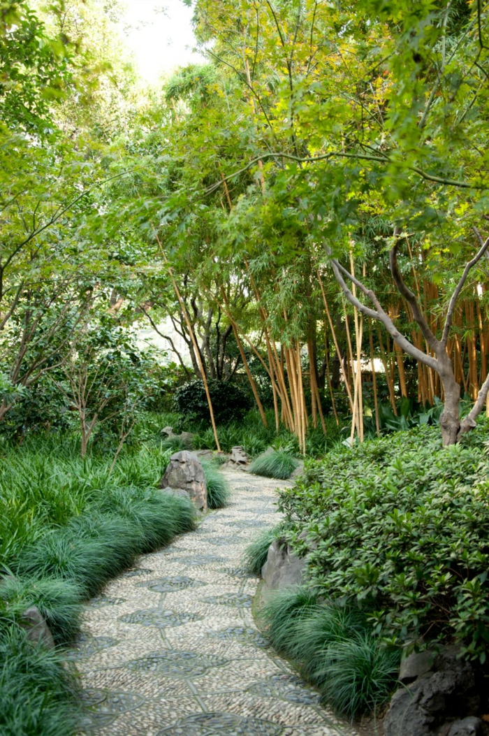 senderos bambu plantas efectos soluciones asiatico