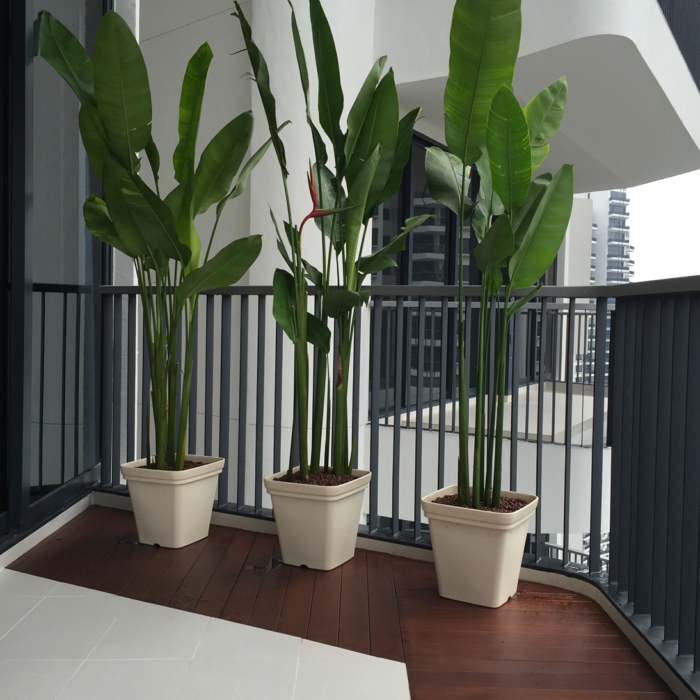 suelo madera plantas macetas figuras similares