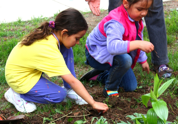 arrancar malas hierbas suelo jardin