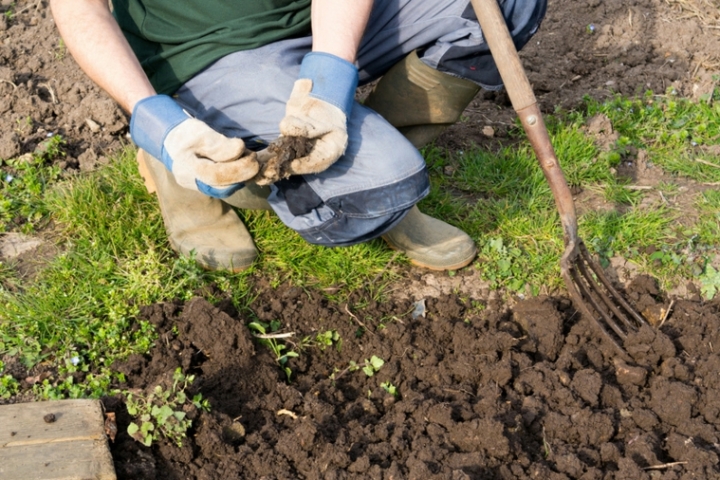 Tierra Para Cultivar Consejos Tiles Para Preparar El Suelo