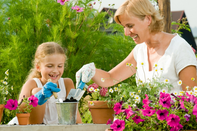 ideas sembrar flores macetas