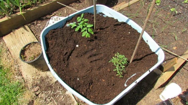 plantar macetas tierra jardin