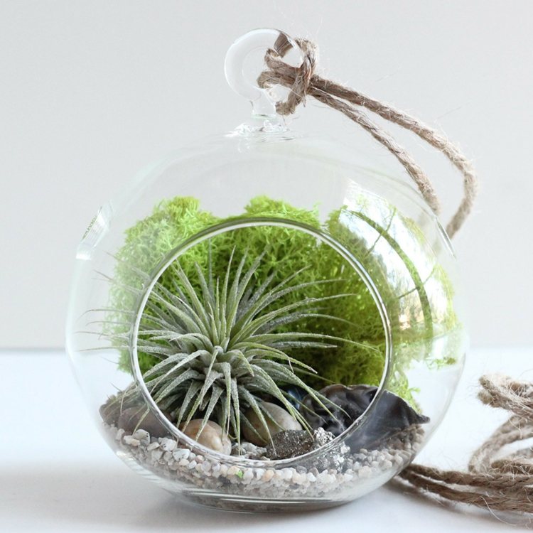 plantas diseño funciones esferas pequeñas