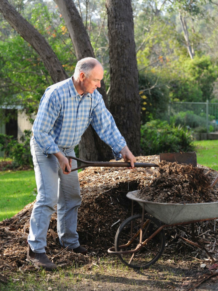 preparar suelo tierra jardin