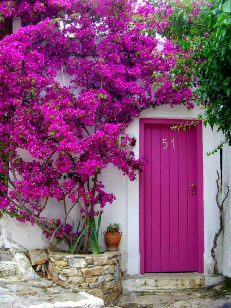 puerta de color rosa fucsia intenso puerta color rosa fucsia intenso